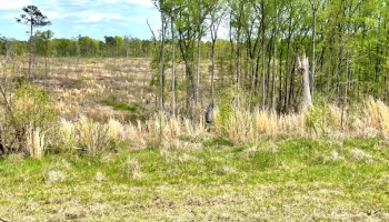 Jasper Co., GA, rolling, land, creek, lake, field, hardwood, paved, frontage, hunting, investment