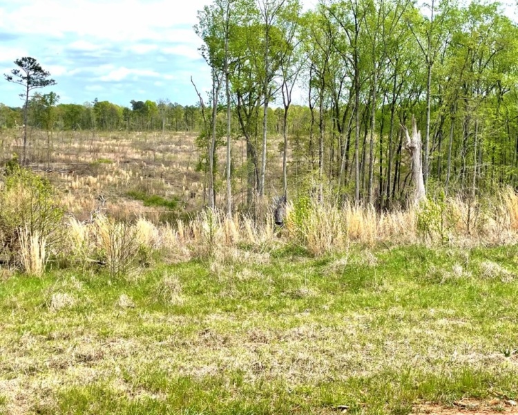 Jasper Co., GA, rolling, land, creek, lake, field, hardwood, paved, frontage, hunting, investment