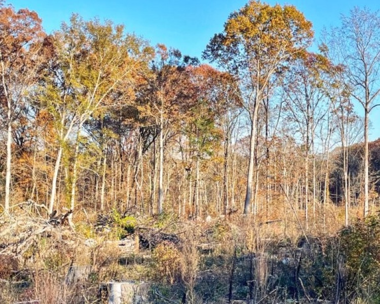 Jasper Co., GA, rolling, land, creek, lake, field, hardwood, paved, frontage, hunting, investment