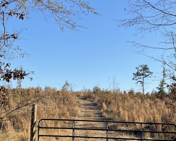 Jasper Co., GA, rolling, land, creek, lake, field, hardwood, paved, frontage, hunting, investment