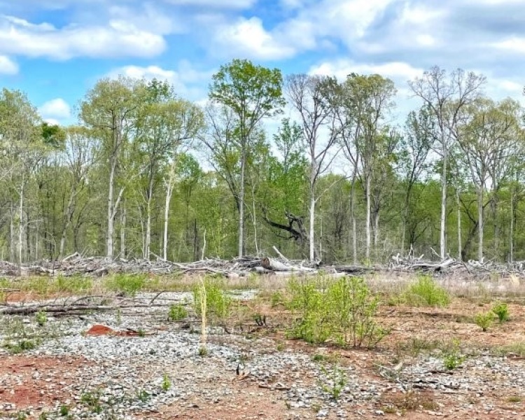 Jasper Co., GA, rolling, land, creek, lake, field, hardwood, paved, frontage, hunting, investment