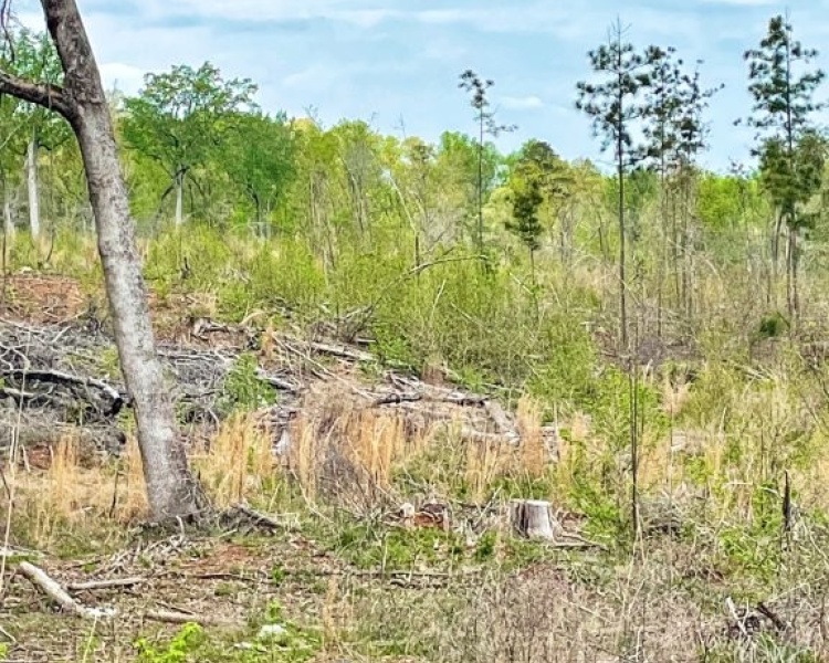 Jasper Co., GA, rolling, land, creek, lake, field, hardwood, paved, frontage, hunting, investment