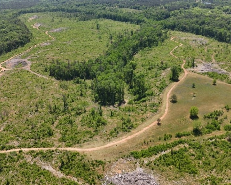 Jasper Co., GA, rolling, land, creek, lake, field, hardwood, paved, frontage, hunting, investment