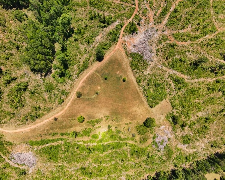 Jasper Co., GA, rolling, land, creek, lake, field, hardwood, paved, frontage, hunting, investment