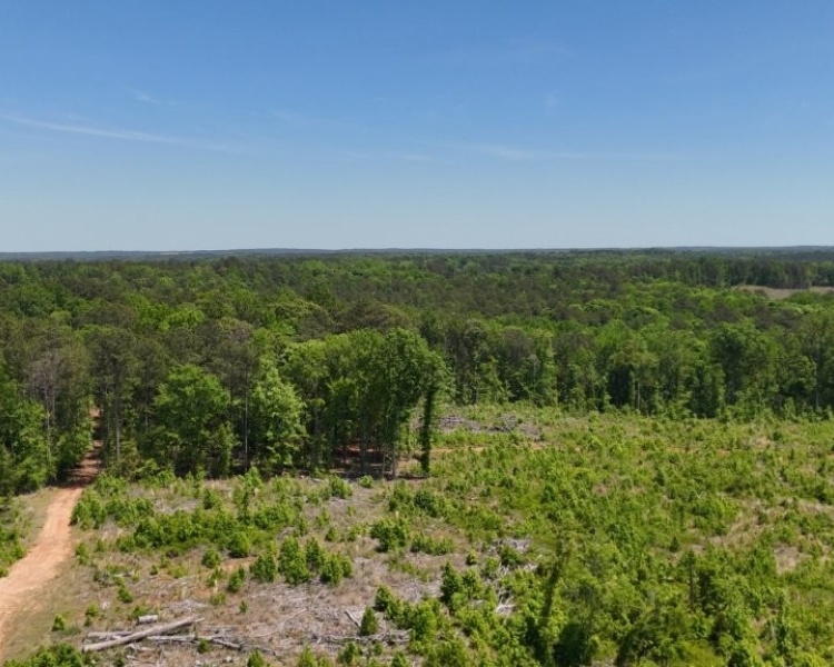 Jasper Co., GA, rolling, land, creek, lake, field, hardwood, paved, frontage, hunting, investment