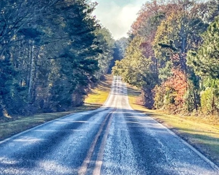 Jasper Co., GA, pines, paved road, county road, gravel road, creek, white oak, buffers, deer, turkey, hunting, bargain