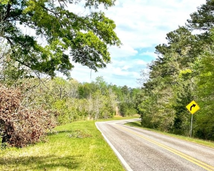 Jasper Co., GA, frontage, paved, planted pine, timberland, creek, white oak, buffers, house, camp, interior roads, deer, turkey, rare