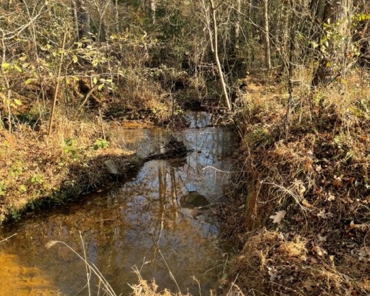 Jasper Co., GA, planted pines, timber, camp house, house, hardwoods, buffers, creek, bargain, road frontage, hunting, deer, turkey, family