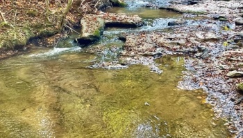 Butts Co, GA, acreage, estate, land, creek, wildlife, frontage, water, hardwoods, Jackson