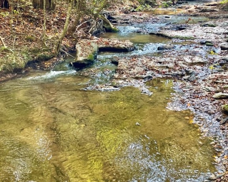 Creek