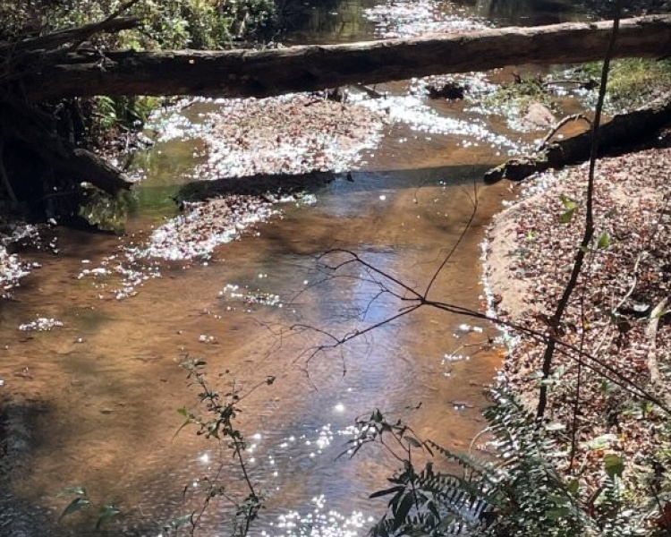 Creek