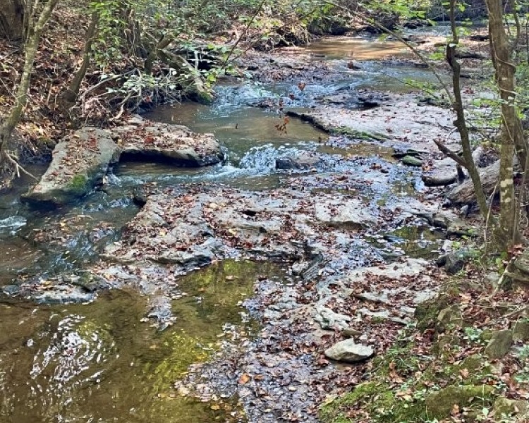 Creek