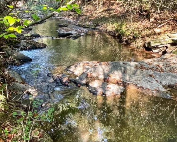 Creek