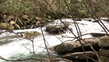 Sequatchie, Tennessee, hunting, access, deer, turkey, Soddy Creek, conservation, easement, Chattanooga, timber, building site Sequatchie, Tennessee, hunting, access, deer, turkey, Soddy Creek, conservation, easement, Chattanooga, timber, building site