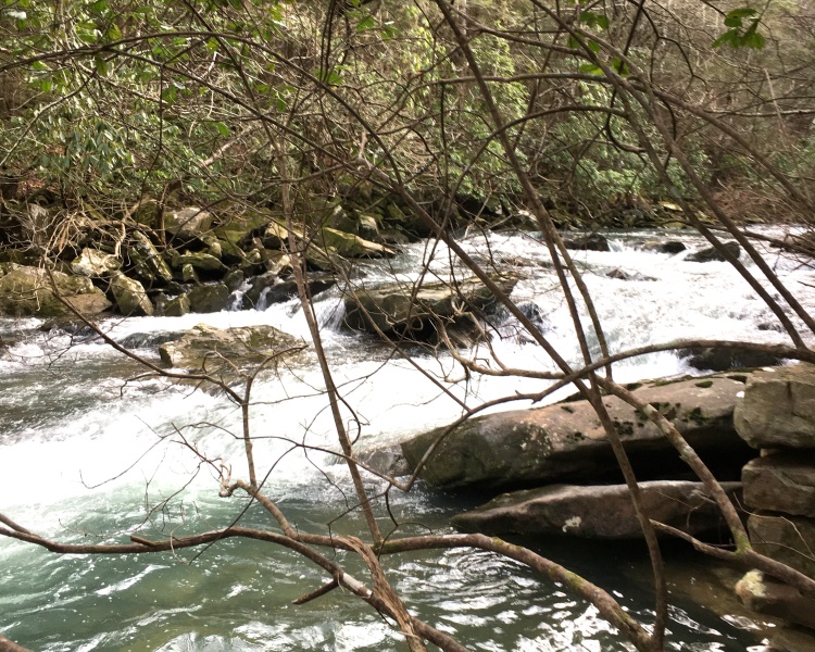 Soddy Creek
