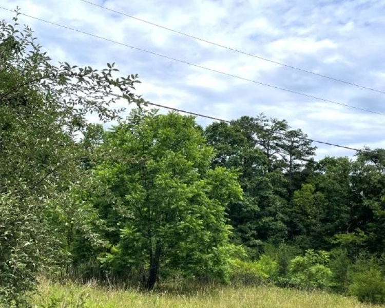 Sequatchie, Tennessee, hunting, access, deer, turkey, Soddy Creek, conservation, easement, Chattanooga, timber, building site