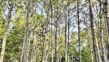 GA, Macon, Bibb Co., industrial, land GA, Macon, Bibb Co., industrial, land