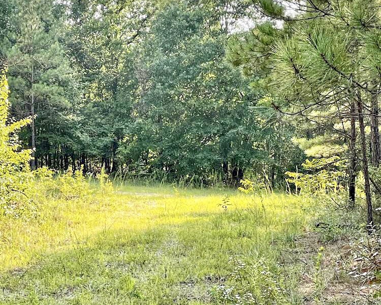 GA, Macon, Bibb Co., industrial, land