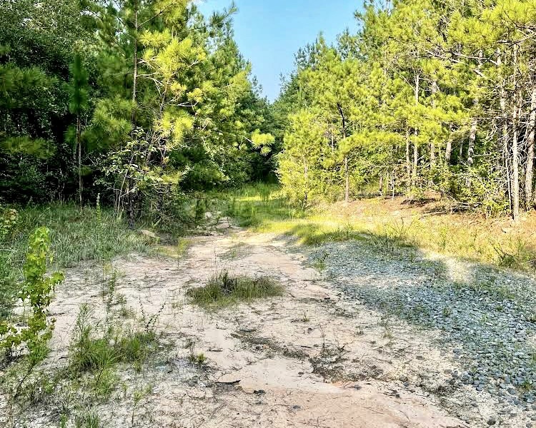 GA, Macon, Bibb Co., industrial, land