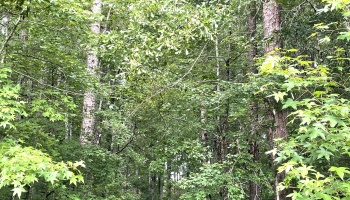 development, investment, Barnesville, Lamar Co., GA, liquidation, utilities, access, paved, investor, quick sale