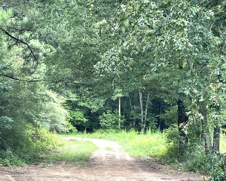 development, investment, Barnesville, Lamar Co., GA, liquidation, utilities, access, paved, investor, quick sale
