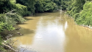 Newton County, GA, acreage, wooded, frontage, Yellow River, paved, water, wooded, recreation, investment, bargain, river, fishing, kayaking, canoeing Newton County, GA, acreage, wooded, frontage, Yellow River, paved, water, wooded, recreation, investment, bargain, river, fishing, kayaking, canoeing