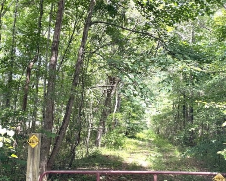 Newton County, GA, acreage, wooded, frontage, Yellow River, paved, water, wooded, recreation, investment, bargain, river, fishing, kayaking, canoeing