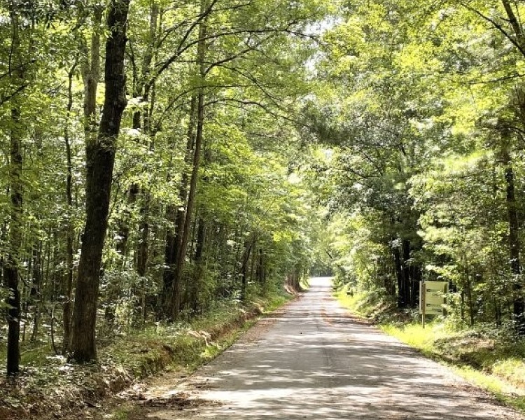 Newton County, GA, acreage, wooded, frontage, Yellow River, paved, water, wooded, recreation, investment, bargain, river, fishing, kayaking, canoeing