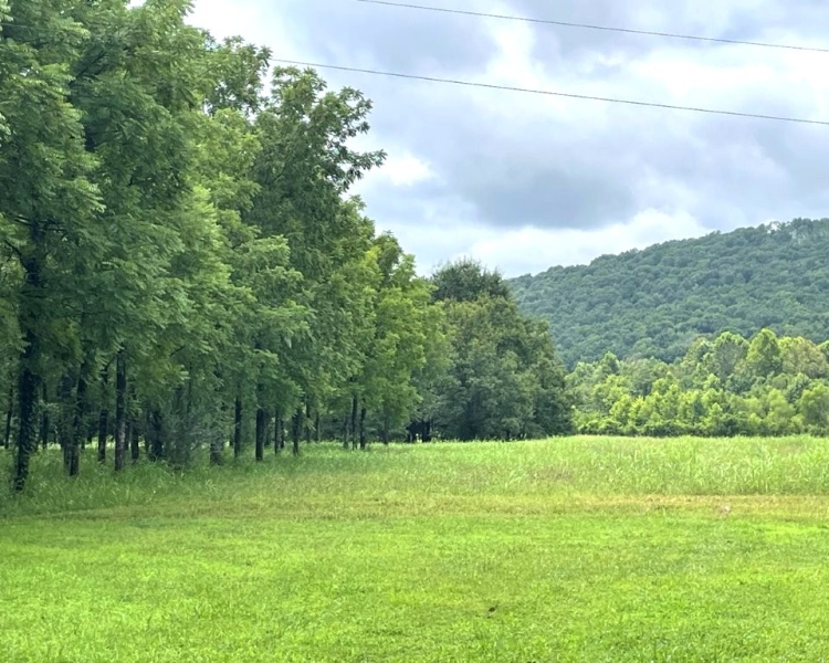 Alabama, Jackson County, acreage, farm, fishing, managed, fish lakes, barns, hay fields, walnuts, walnut grove, caretaker house, house, conserved, conservation, getaway, electrofishing