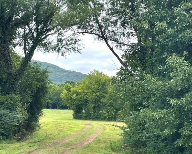 Alabama, Jackson County, acreage, farm, fishing, managed, fish lakes, barns, hay fields, walnuts, walnut grove, caretaker house, house, conserved, conservation, getaway, electrofishing