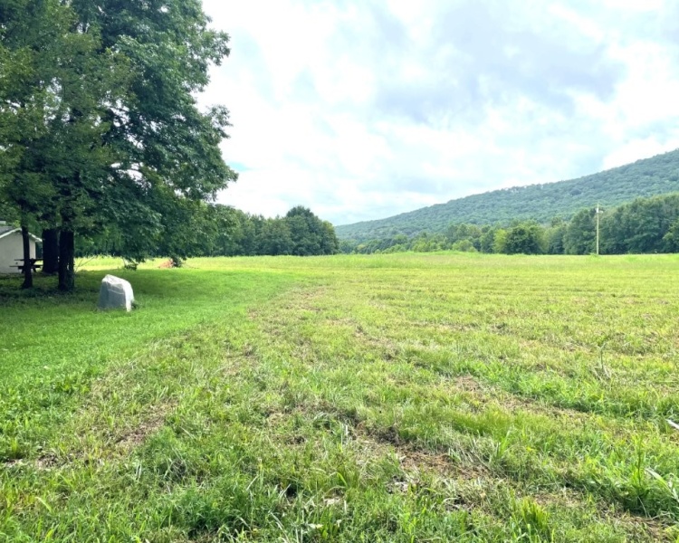 Alabama, Jackson County, acreage, farm, fishing, managed, fish lakes, barns, hay fields, walnuts, walnut grove, caretaker house, house, conserved, conservation, getaway, electrofishing