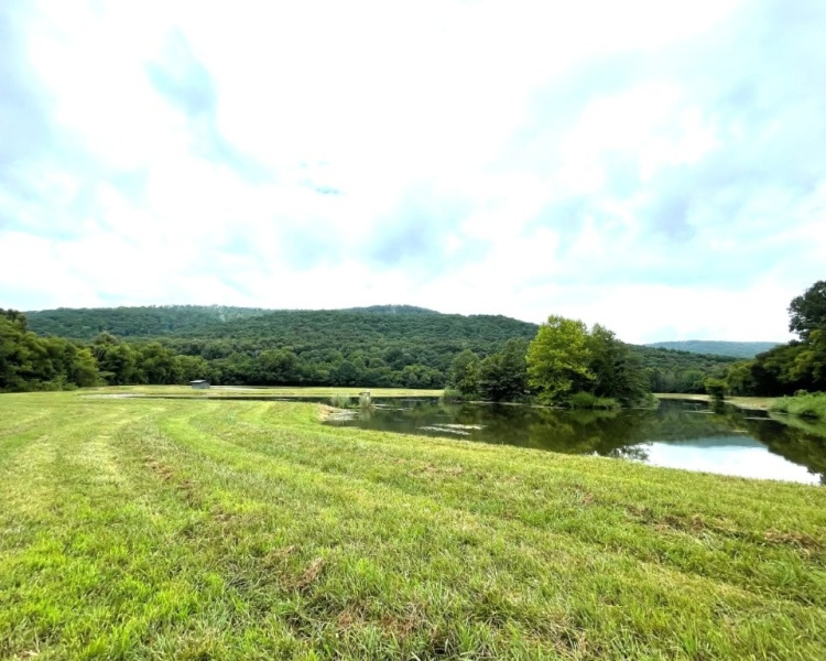 Alabama, Jackson County, acreage, farm, fishing, managed, fish lakes, barns, hay fields, walnuts, walnut grove, caretaker house, house, conserved, conservation, getaway, electrofishing