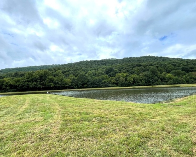 Alabama, Jackson County, acreage, farm, fishing, managed, fish lakes, barns, hay fields, walnuts, walnut grove, caretaker house, house, conserved, conservation, getaway, electrofishing