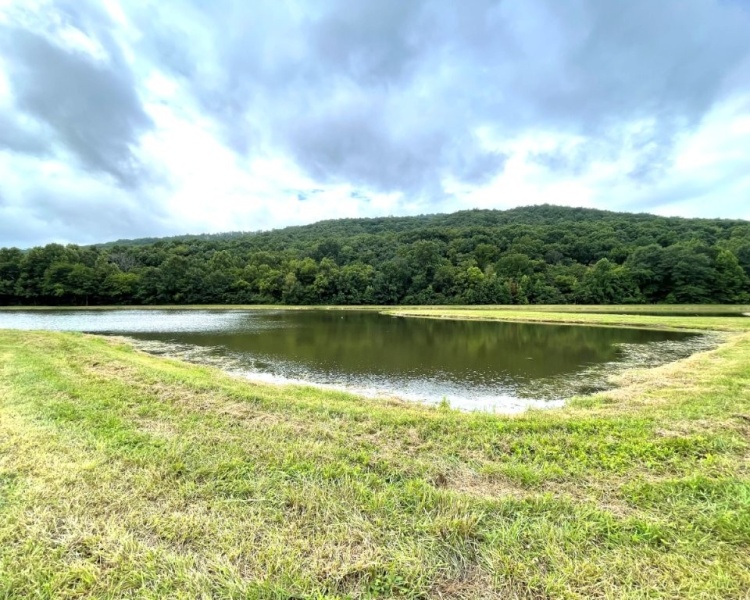 Alabama, Jackson County, acreage, farm, fishing, managed, fish lakes, barns, hay fields, walnuts, walnut grove, caretaker house, house, conserved, conservation, getaway, electrofishing