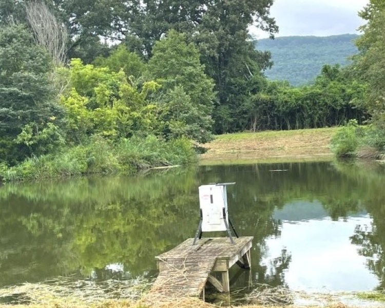 Alabama, Jackson County, acreage, farm, fishing, managed, fish lakes, barns, hay fields, walnuts, walnut grove, caretaker house, house, conserved, conservation, getaway, electrofishing