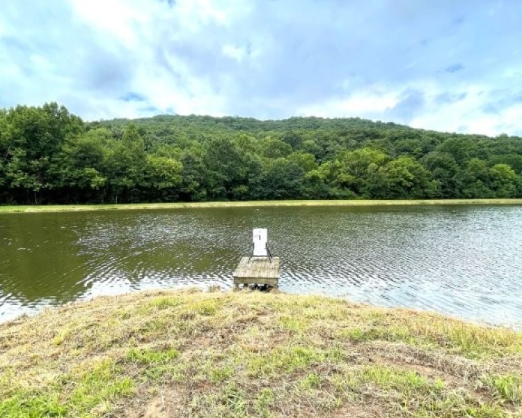 Alabama, Jackson County, acreage, farm, fishing, managed, fish lakes, barns, hay fields, walnuts, walnut grove, caretaker house, house, conserved, conservation, getaway, electrofishing