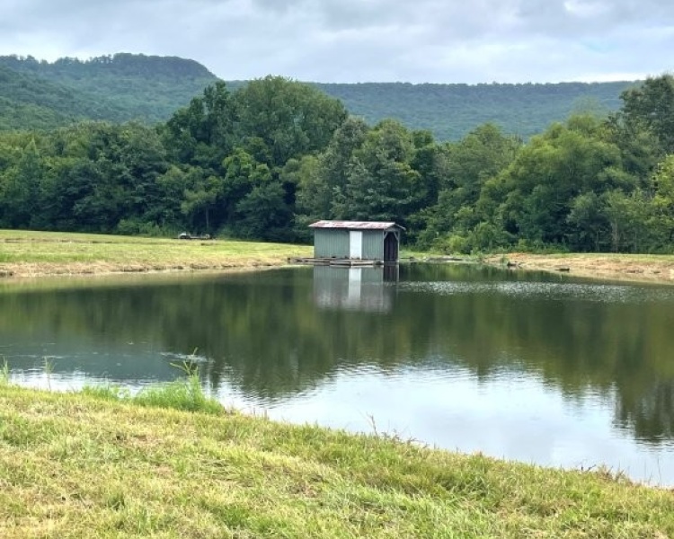Alabama, Jackson County, acreage, farm, fishing, managed, fish lakes, barns, hay fields, walnuts, walnut grove, caretaker house, house, conserved, conservation, getaway, electrofishing