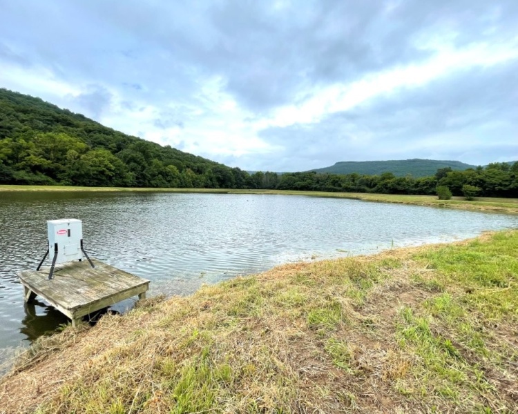 Alabama, Jackson County, acreage, farm, fishing, managed, fish lakes, barns, hay fields, walnuts, walnut grove, caretaker house, house, conserved, conservation, getaway, electrofishing