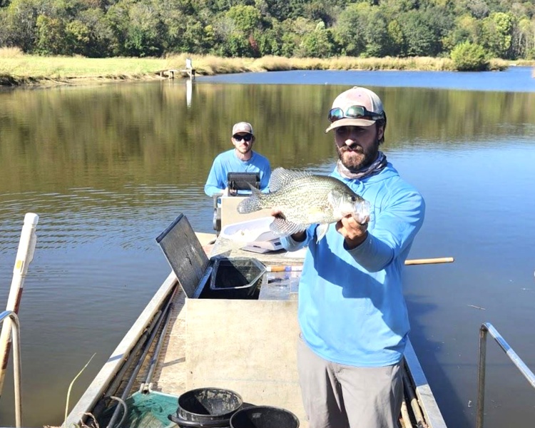 Alabama, Jackson County, acreage, farm, fishing, managed, fish lakes, barns, hay fields, walnuts, walnut grove, caretaker house, house, conserved, conservation, getaway, electrofishing