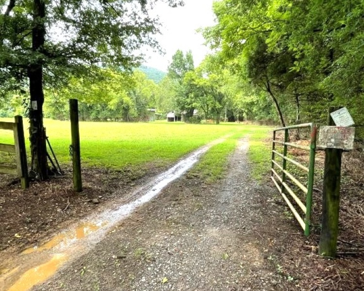 Alabama, Jackson County, acreage, farm, fishing, managed, fish lakes, barns, hay fields, walnuts, walnut grove, caretaker house, house, conserved, conservation, getaway, electrofishing