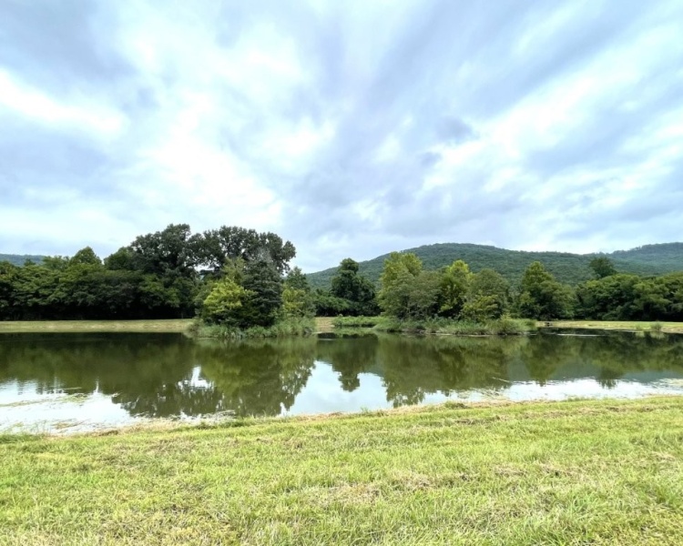 Alabama, Jackson County, acreage, farm, fishing, managed, fish lakes, barns, hay fields, walnuts, walnut grove, caretaker house, house, conserved, conservation, getaway, electrofishing