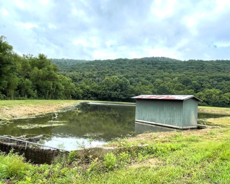 Alabama, Jackson County, acreage, farm, fishing, managed, fish lakes, barns, hay fields, walnuts, walnut grove, caretaker house, house, conserved, conservation, getaway, electrofishing