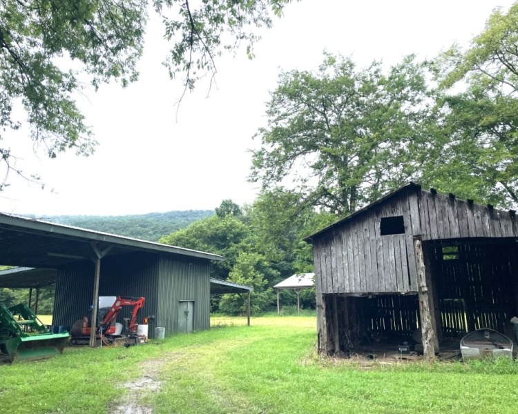 Alabama, Jackson County, acreage, farm, fishing, managed, fish lakes, barns, hay fields, walnuts, walnut grove, caretaker house, house, conserved, conservation, getaway, electrofishing
