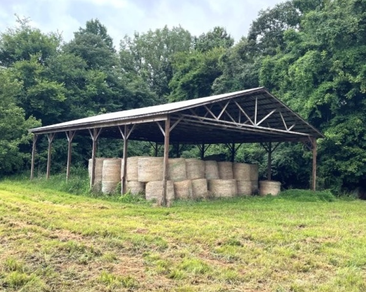 Alabama, Jackson County, acreage, farm, fishing, managed, fish lakes, barns, hay fields, walnuts, walnut grove, caretaker house, house, conserved, conservation, getaway, electrofishing