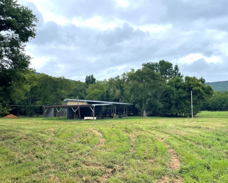 Alabama, Jackson County, acreage, farm, fishing, managed, fish lakes, barns, hay fields, walnuts, walnut grove, caretaker house, house, conserved, conservation, getaway, electrofishing