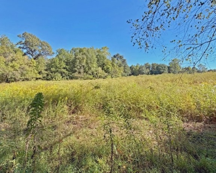 First Broad River, NC, Shelby, Cleveland Co., River, frontage, frontage, hardwoods, fields, fishing, kayaking, hunting, deer, turkey, retreat