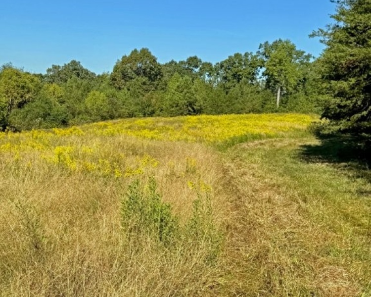 First Broad River, NC, Shelby, Cleveland Co., River, frontage, frontage, hardwoods, fields, fishing, kayaking, hunting, deer, turkey, retreat