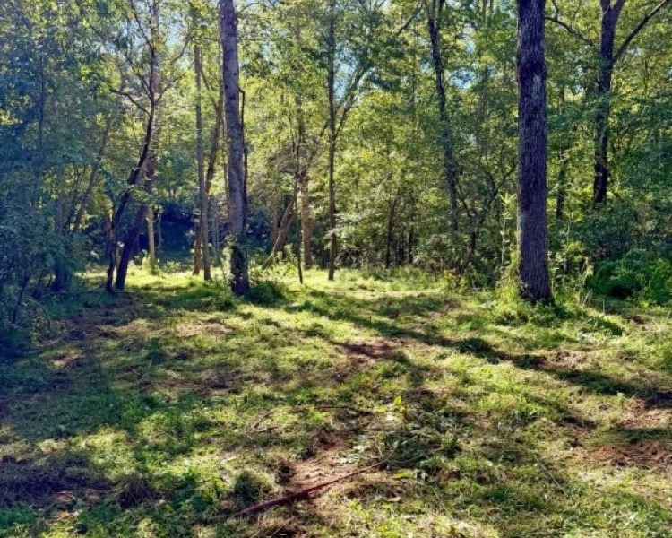 First Broad River, NC, Shelby, Cleveland Co., River, frontage, frontage, hardwoods, fields, fishing, kayaking, hunting, deer, turkey, retreat