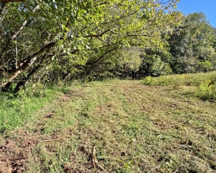 First Broad River, NC, Shelby, Cleveland Co., River, frontage, frontage, hardwoods, fields, fishing, kayaking, hunting, deer, turkey, retreat
