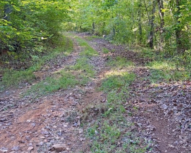 First Broad River, NC, Shelby, Cleveland Co., River, frontage, frontage, hardwoods, fields, fishing, kayaking, hunting, deer, turkey, retreat